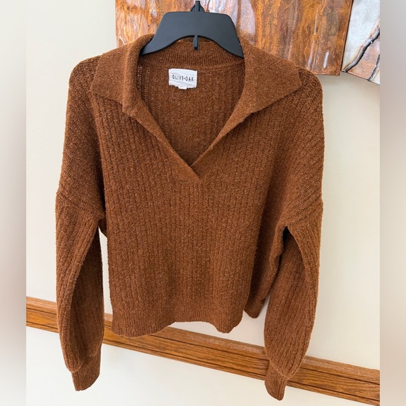Olive & Oak Sweaters - Brown sweater with collar - size large